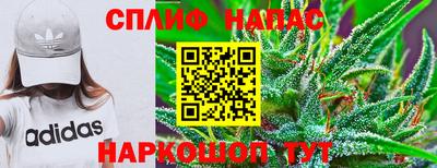 индика Коммунар