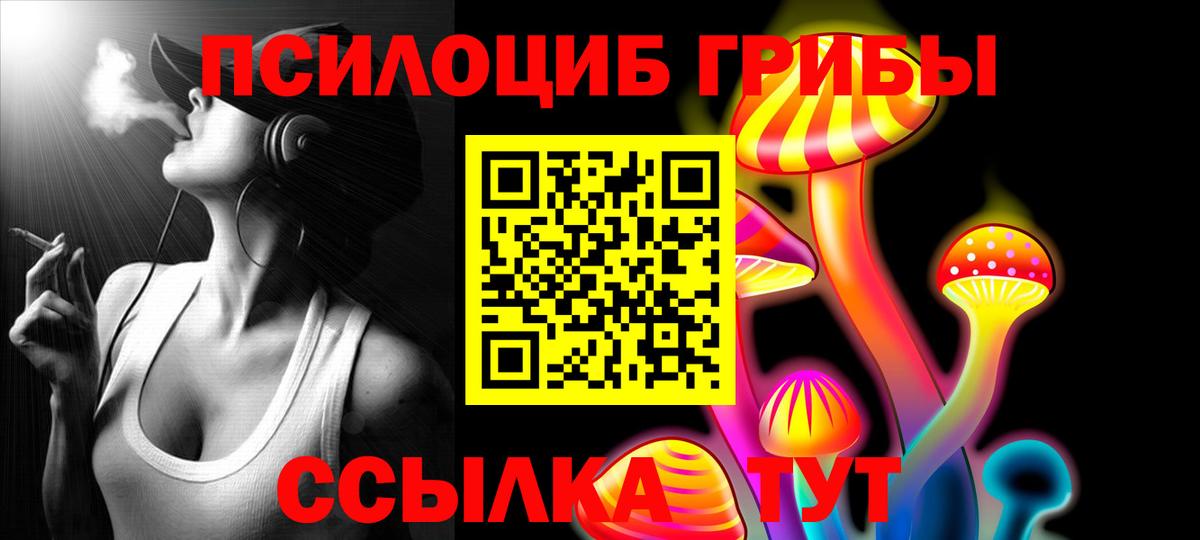Псилоцибиновые грибы Psilocybe Шадринск